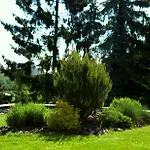 Guest house Pension Falconi Kolin