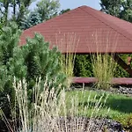 Guest house Pension Falconi 3*
