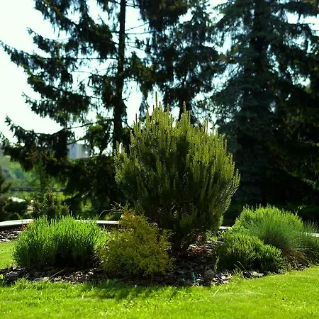 Maison d'hôtes Falconi Kolín