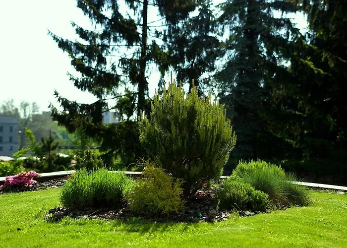 ゲストハウス Falconi コリーン